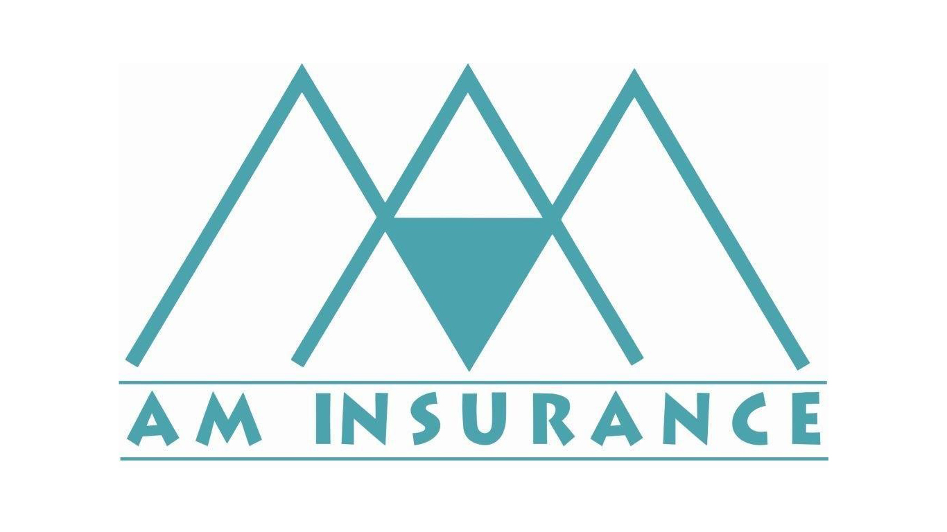 Am Insurance